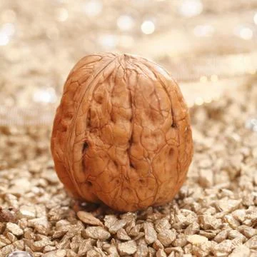 Walnut Stock Photos