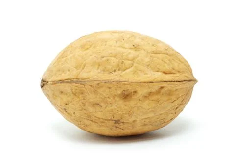 Walnut Stock Photos