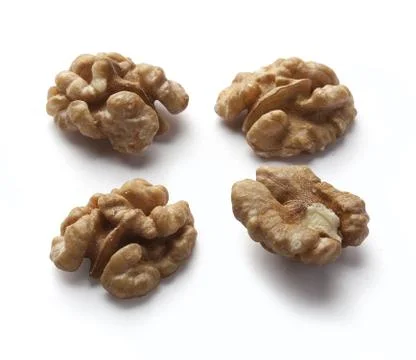 Walnut Stock Photos