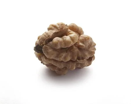 Walnut Foto stock