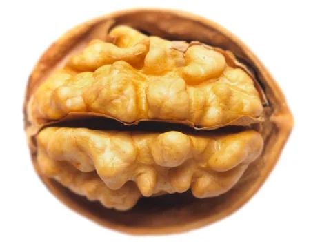 Walnut Stock Photos