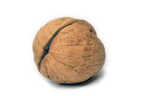 Walnut Stock Photos