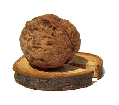 Walnut Foto stock