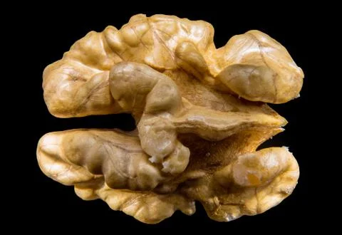 Walnut 스톡 사진