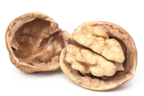 Walnut Stock Photos
