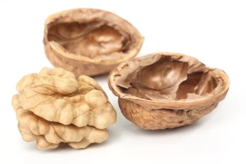 Walnut Stock Photos