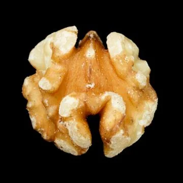 Walnut Stock Photos