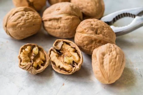 Walnut Stock Photos