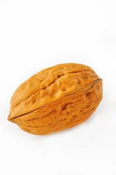Walnut Stock Photos