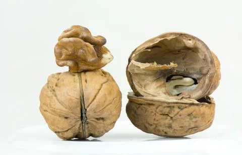 Walnut Stock Photos