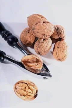 Walnut Stock-Fotos