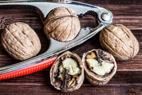Walnut Stock Photos