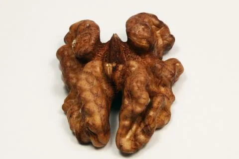 Walnut Stock Photos