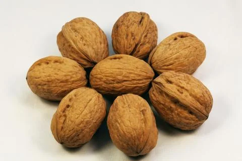 Walnut Stock Photos