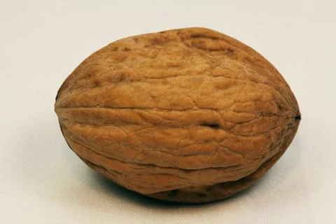 Walnut Stock Photos