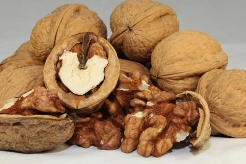Walnut Stock Photos