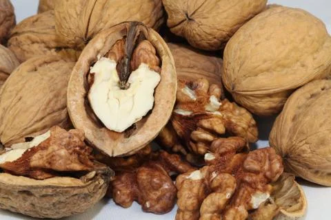 Walnut Stock Photos