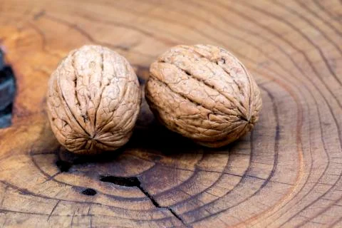 Walnut Stock Photos