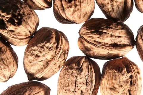 Walnut Foto stock