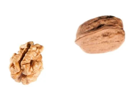 Walnut Фото