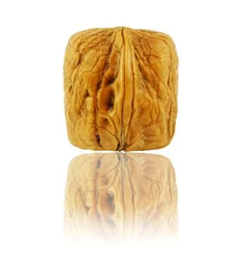 Walnut  Stock Photos