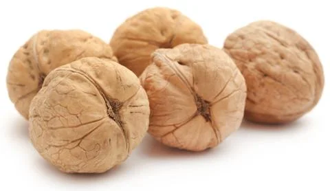 Walnut Stock Photos