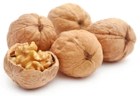 Walnut Stock Photos