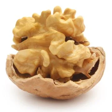 Walnut Stock Photos