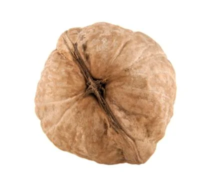 Walnut Stock Photos