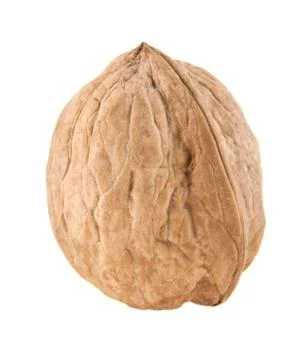 Walnut Stock Photos