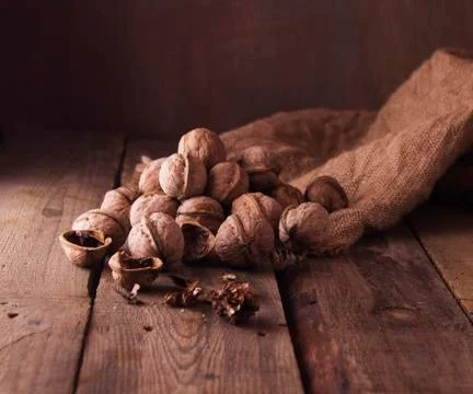 Walnut. Stock Photos