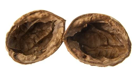 Walnut Stock Photos