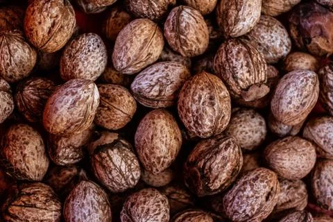 Walnut Stock Photos