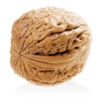 Walnut. Stock Photos