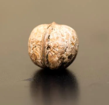Walnut Stock Photos