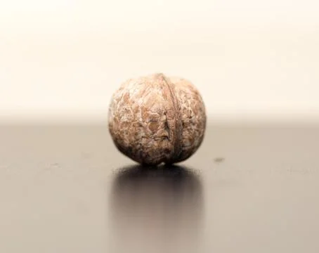 Walnut Stock Photos