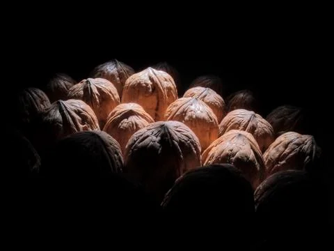 Walnut Stock Photos