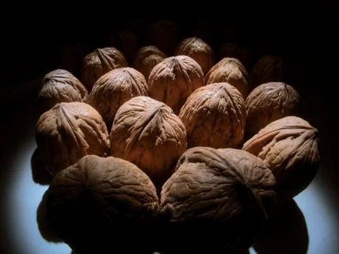 Walnut Stock Photos