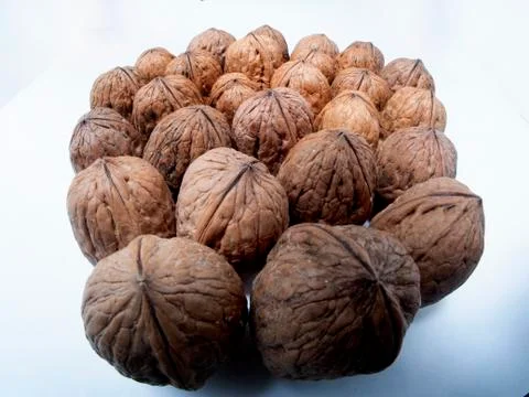Walnut Stock Photos