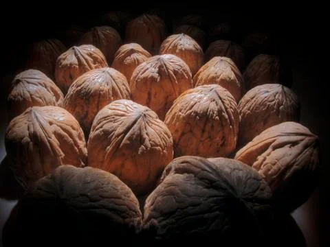 Walnut Stock Photos