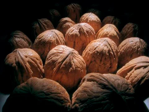Walnut Stock Photos