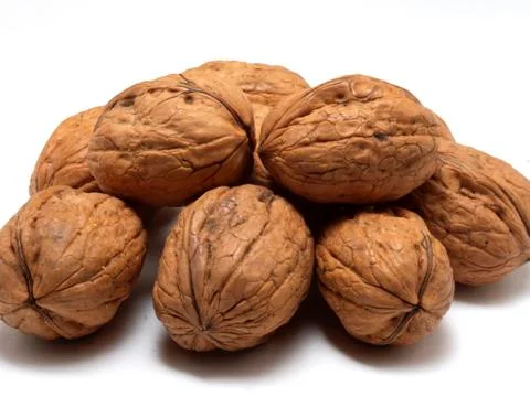Walnut Stock Photos