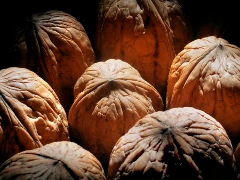 Walnut Stock Photos
