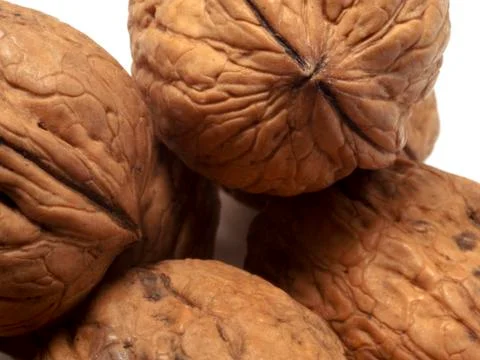 Walnut Stock Photos
