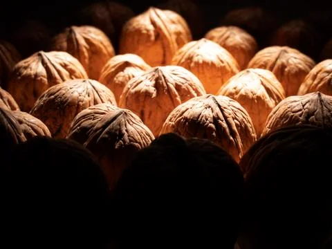 Walnut Stock Photos