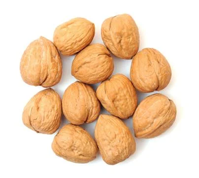 Walnut Stock Photos