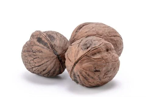 Walnut Stock Photos
