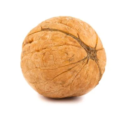 Walnut Stock Photos