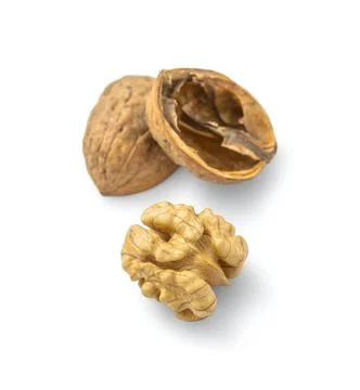 Walnut Stock Photos