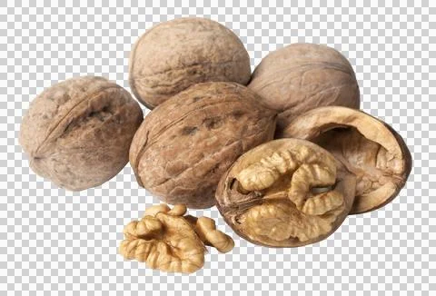 Walnut Stock Photos